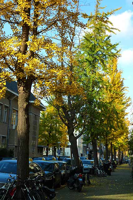 Amsterdam, Cliostraat (photo Cor Kwant)