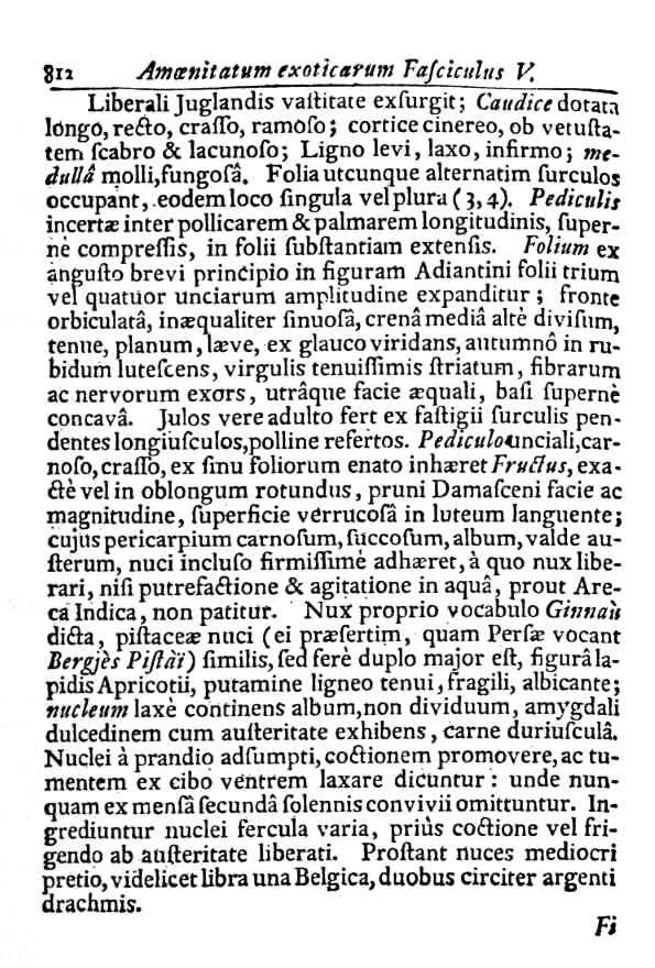 Texto en Latin