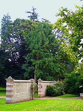 Harcourt