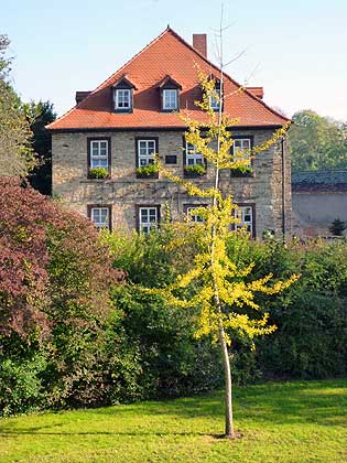 Bad Lauchst�dt