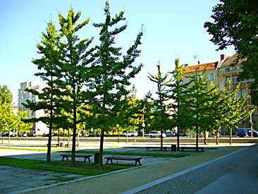 Berlin Invalidenpark (photo Cor Kwant)