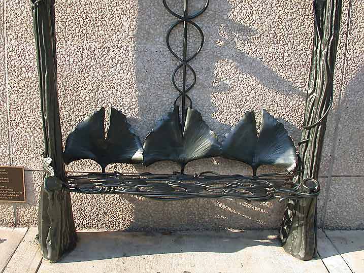 Blackwell bench with Ginkgo leaves (photo Bill Schoenbart)