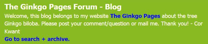 Blog header