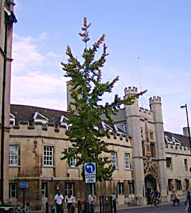 Cambridge