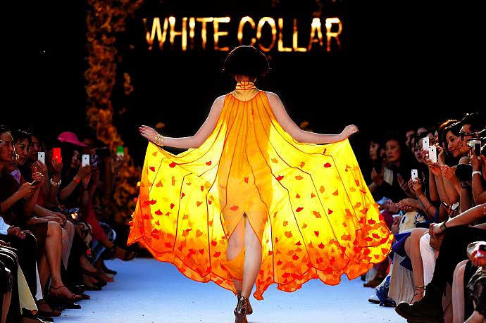 White Collar Ginkgo fashion (photo effus.cn)