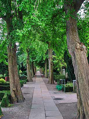 Copenhagen: Frederiksberg cemetery (photo Lars Forslin)