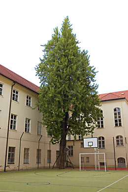 Prague (photo Serych)