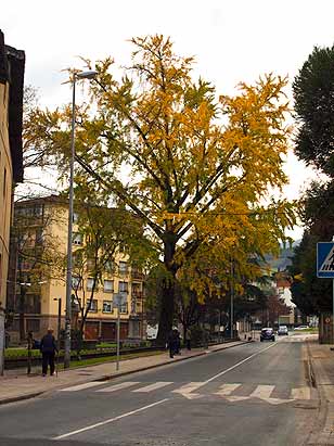 Durango (photo Marrieta Alegria)