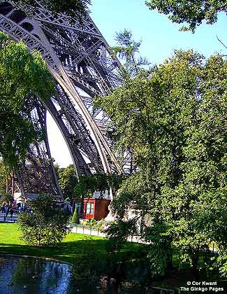 Paris (photo Cor Kwant)