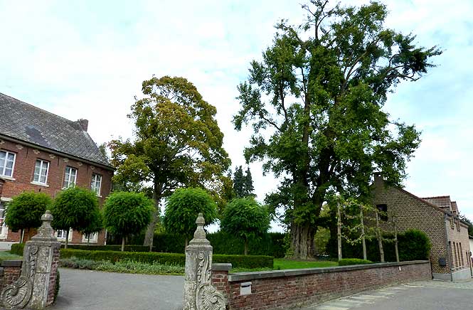 Geetbets (photo Cor Kwant)
