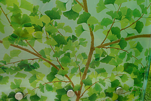 Facade of Ginkgo leaves, Ginkgo project Beekbergen (photo Cor Kwant)