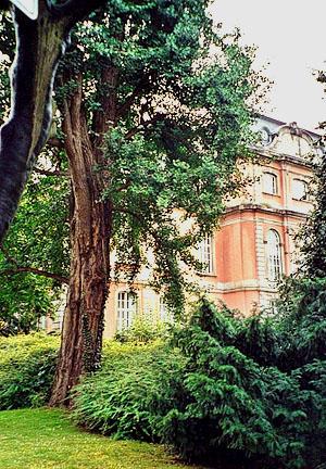 Goethe Museum (Foto Cor Kwant)