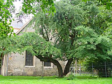 Harbke (Foto Cor Kwant)