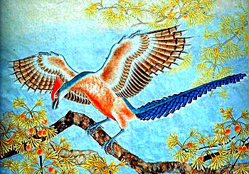 Jeholornis prima