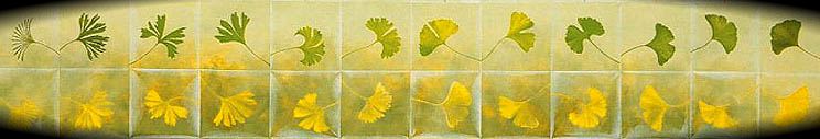 leaf forms (drawing © Atsuko Kato)