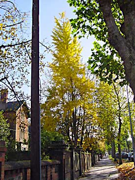 Reading Kendrick Road (photo David Scarboro)