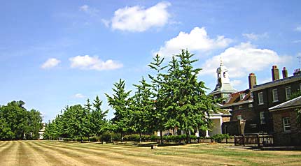 London Kensington Gardens (photo Jan Purkrabek)