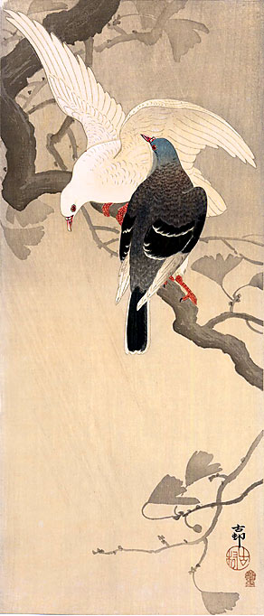 Koson