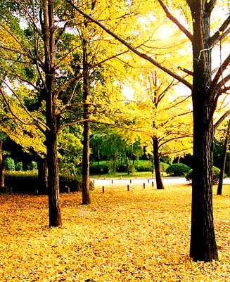 Kyoto