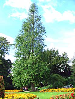 Leamington Spa