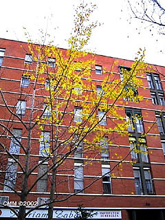 Madrid (photo Carlos Manzano)