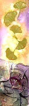 Marsee