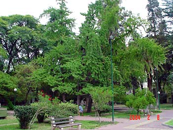 Mendoza