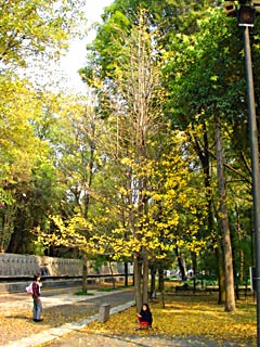 Mexico City