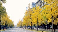 Midosuji Blvd.