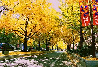 Midousuji, Osaka (photo Sando Tomoki)