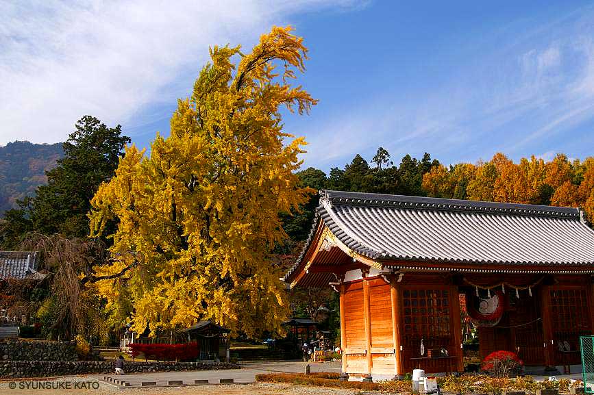 Minobusan (photo S. Kato)
