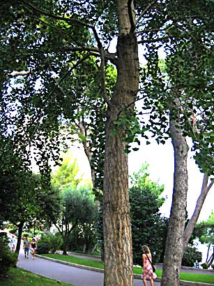 Monaco