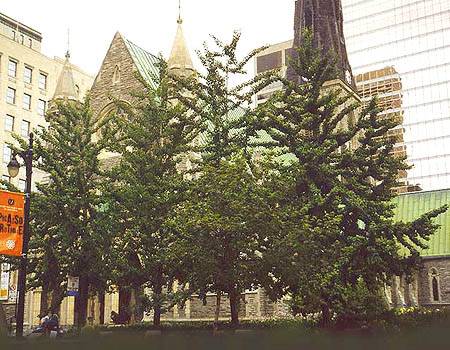 Montreal