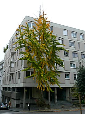 nantes