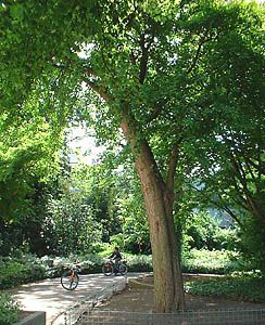 Neuss (photo Mike Hanssen)