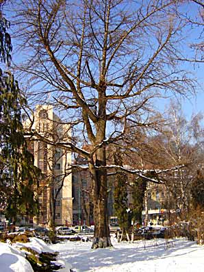 Romania