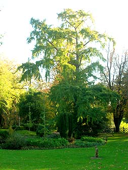 San Sebastian, park Palacio de Ayete