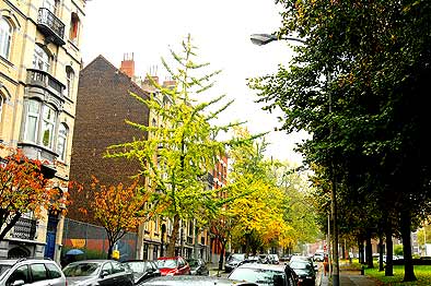Schaarbeek