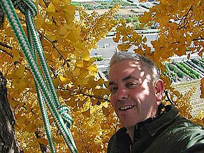 Seto (photo John Gathright)