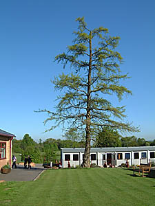 Sevenoaks (photo Sevenoaks prep school)