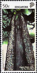 Stamp Singapore Ginkgo