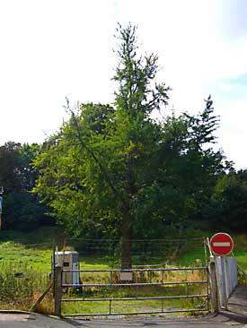 St Andre sur Orne