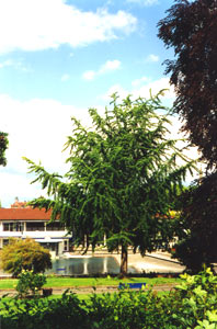 Stuttgart, Mineralbad Berg (photo Peter Gniech)
