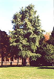 Stuttgart, Stadtpark (photo Peter Gniech)