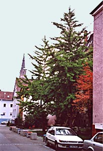 Stuttgart, Untere Strasse (Photo Peter Gniech)
