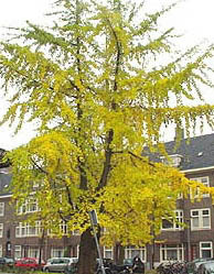 October 2001