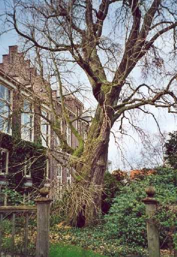 Utrecht (Foto: Cor Kwant)