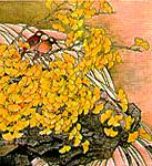 Ginkgo