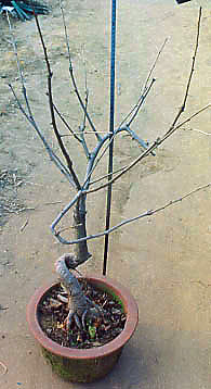 China (photo HeMeng)