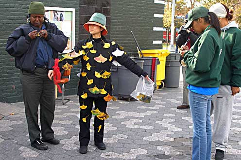 Ginkgo Messenger New York (photo MeiKuei Feu)
